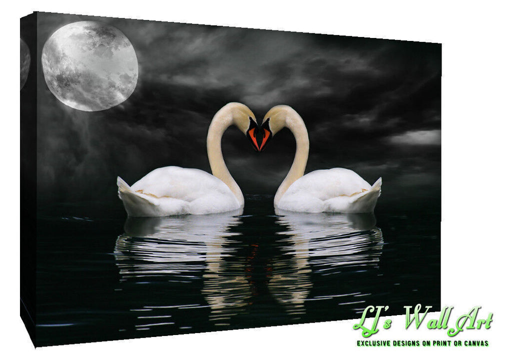 Swans in Moonlight -  Animal  CANVAS WALL ART Picture Print