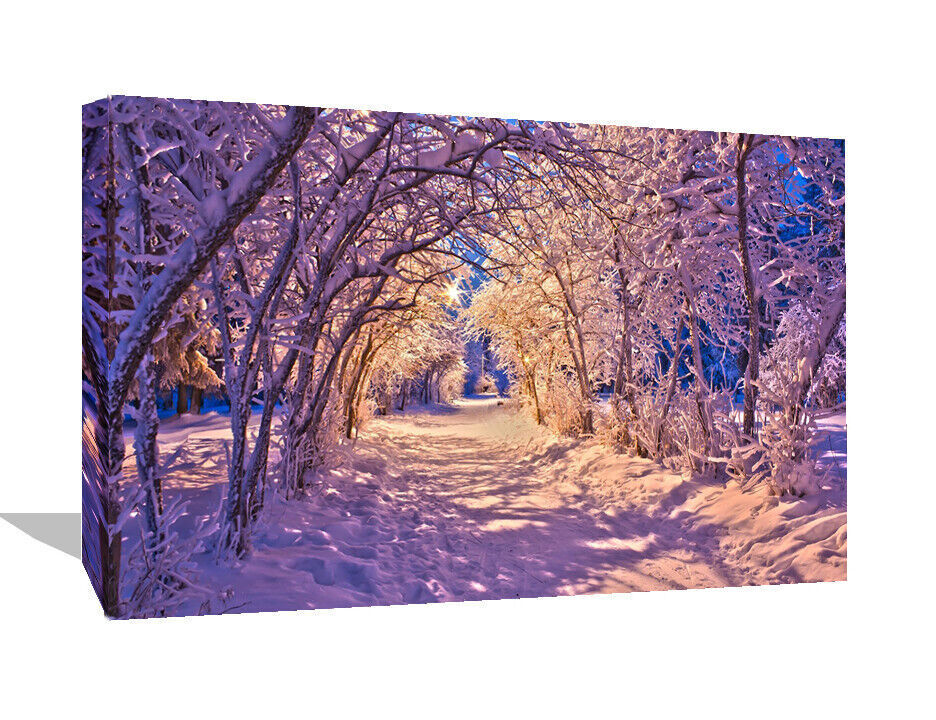 Sun Shining Through Tree Branches Onto Snowy Path Canvas Wall Art Picture Print