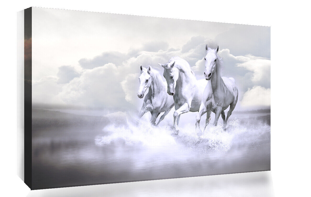 Trio of White Horses Running in Water Canvas Wall Art Picture Print