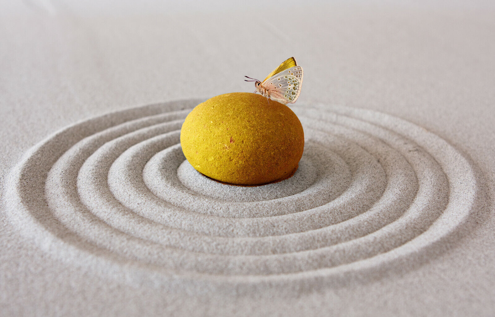 YELLOW MUSTARD ZEN PEBBLE & BUTTERFLY SAND RIPPLE Canvas Wall Art Picture Print