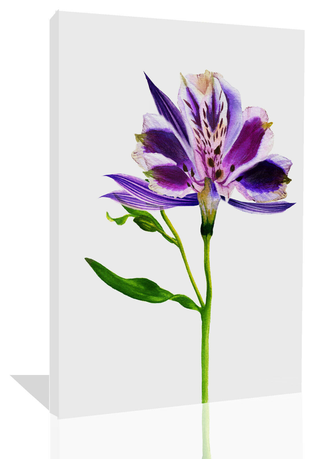 Abstract Purple Tones Flower Floral Watercolor CANVAS WALL ART Picture Print