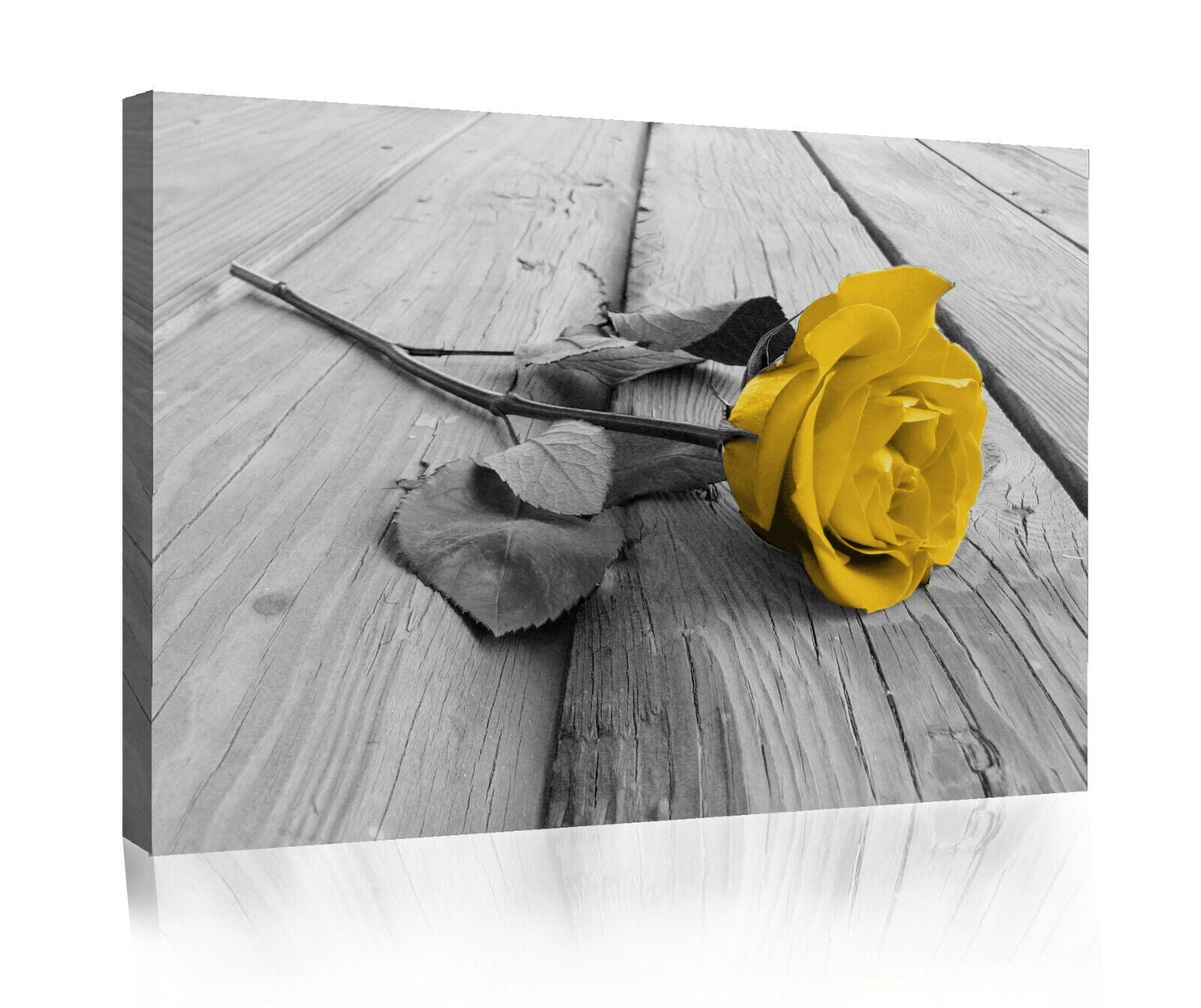 Large Mustard Yellow Grey Rose Flower Canvas Wall Art Picture Print