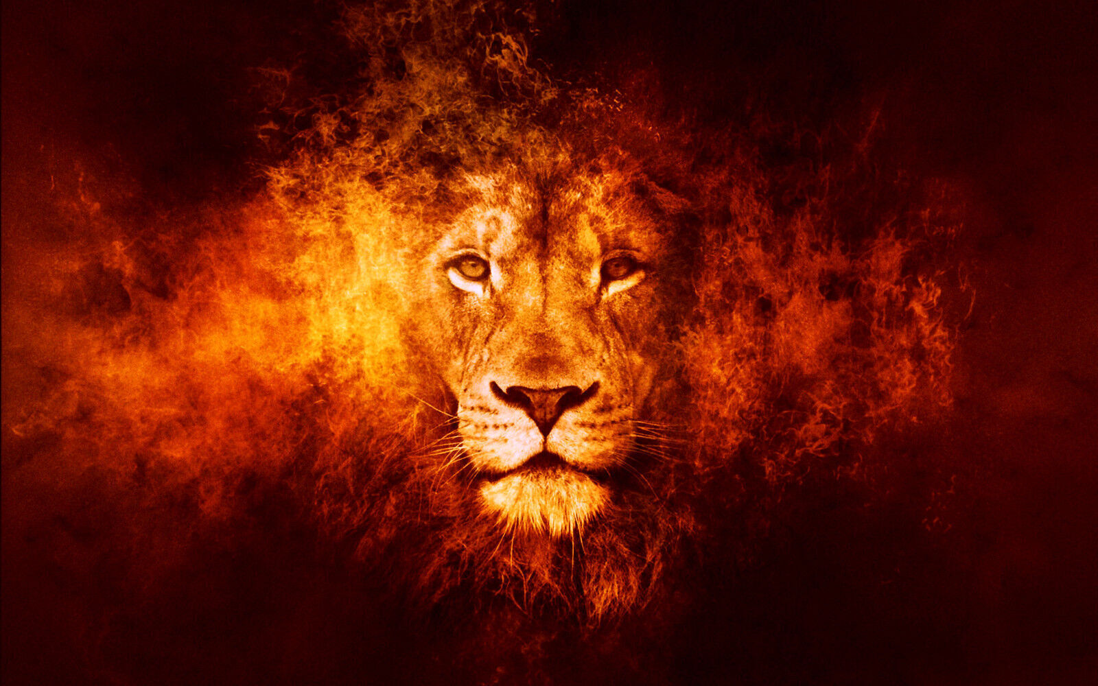 Abstract Lion CANVAS WALL ART Picture Print, A1, A2 Various sizes