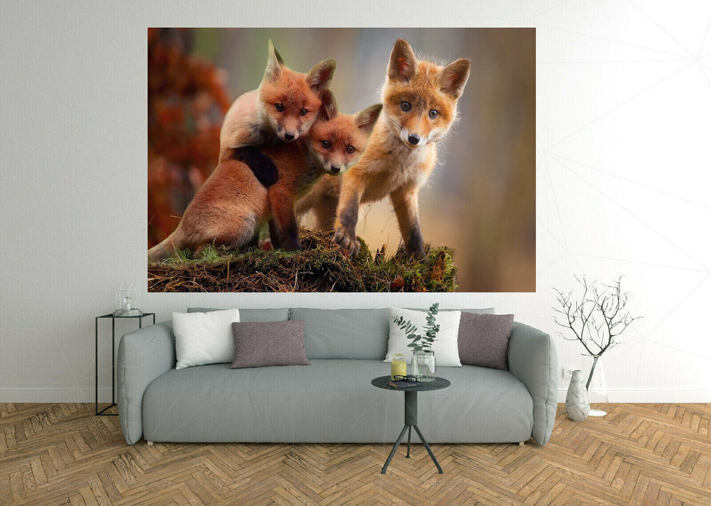 Cute Fox Cubs in Wildlife Autumn Canvas wall art print picture