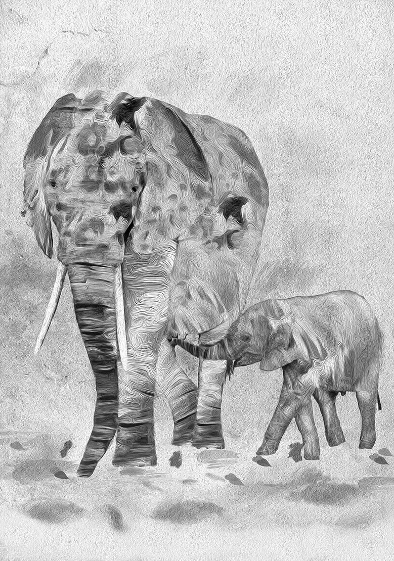 Abstract Black & White Elephants Canvas Wall Art Picture Print - A0, A1, A2