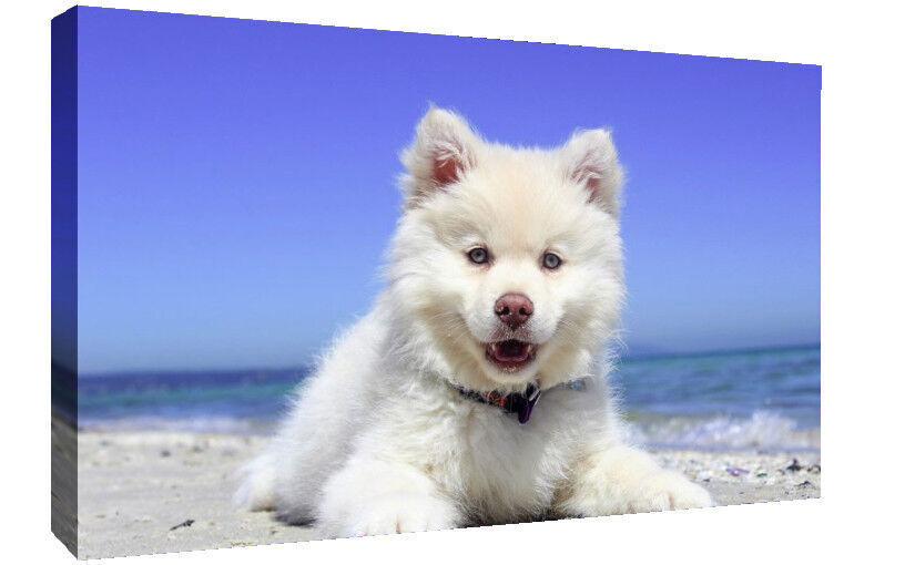 A5 Your Personal Photo Picture on 100% 340gsm Cotton Canvas Print - DEEP FRAMED