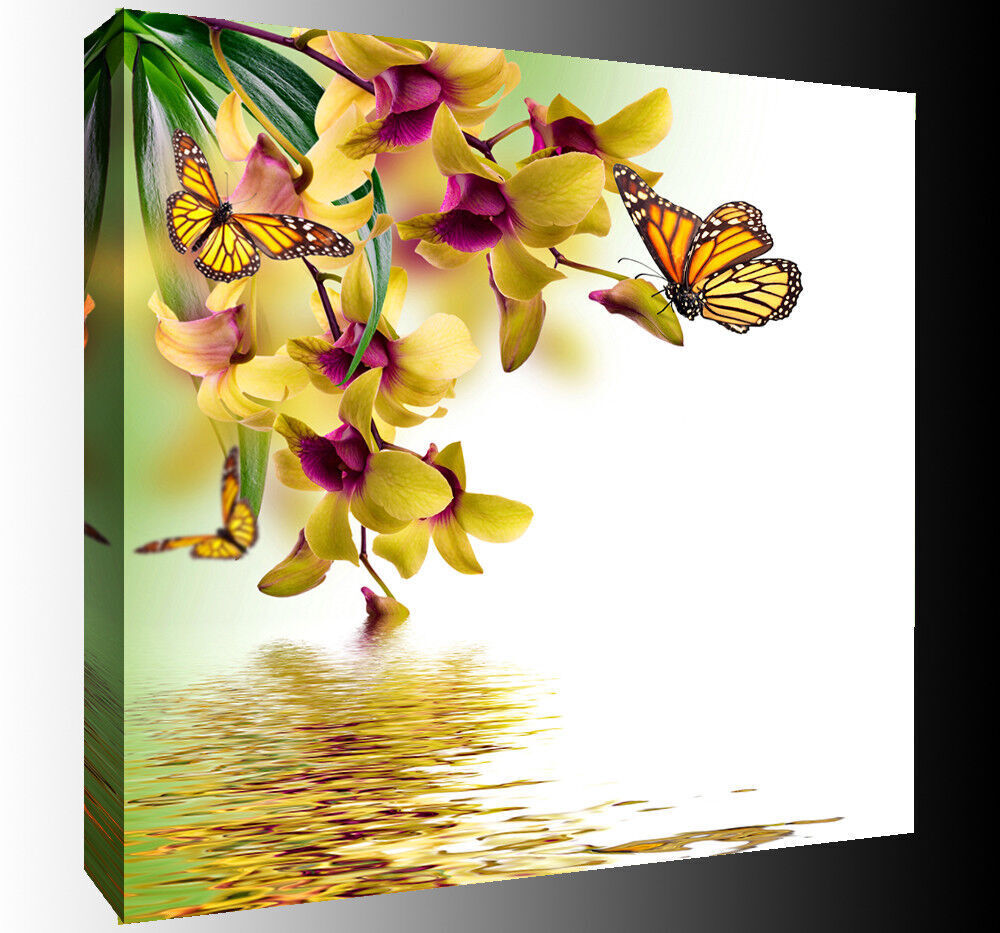 Yellow Orchid Flowers Butterflies Canvas Wall Art Picture Print - ALL SIZES
