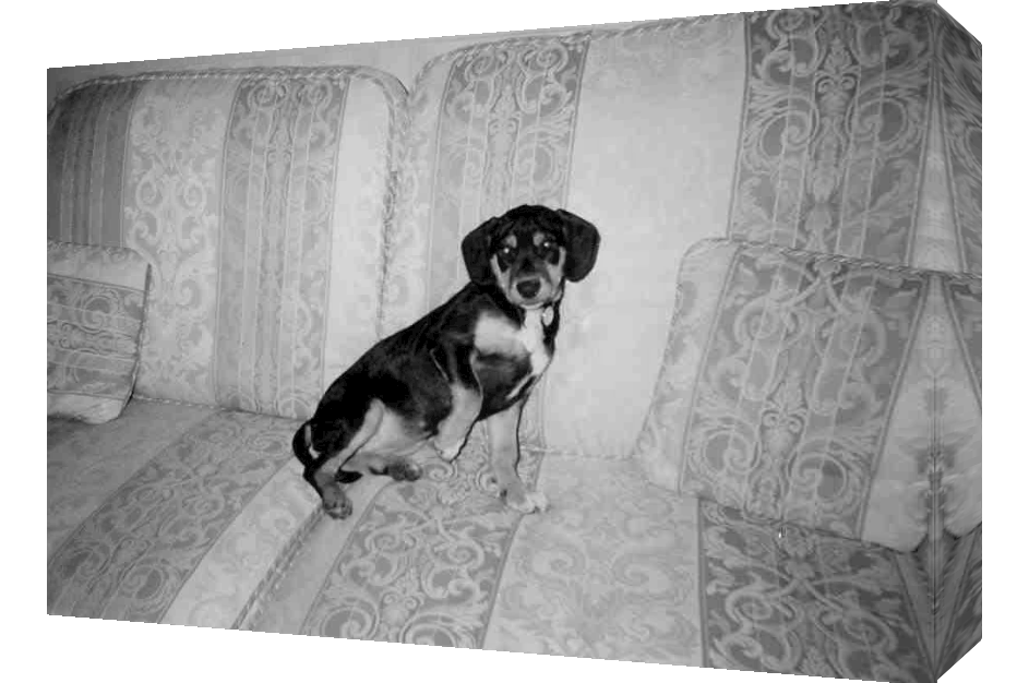 YOUR PHOTO ON CANVAS PRINT LARGE PERSONALISED 34MM DEEP FRAMED 12" x 12"