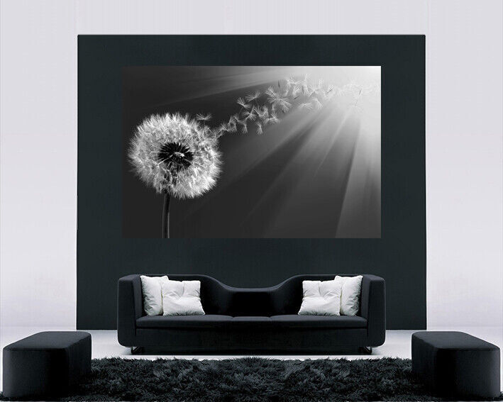 Grey Dandelion Blowing into Sunlight Canvas Wall Art Picture Print