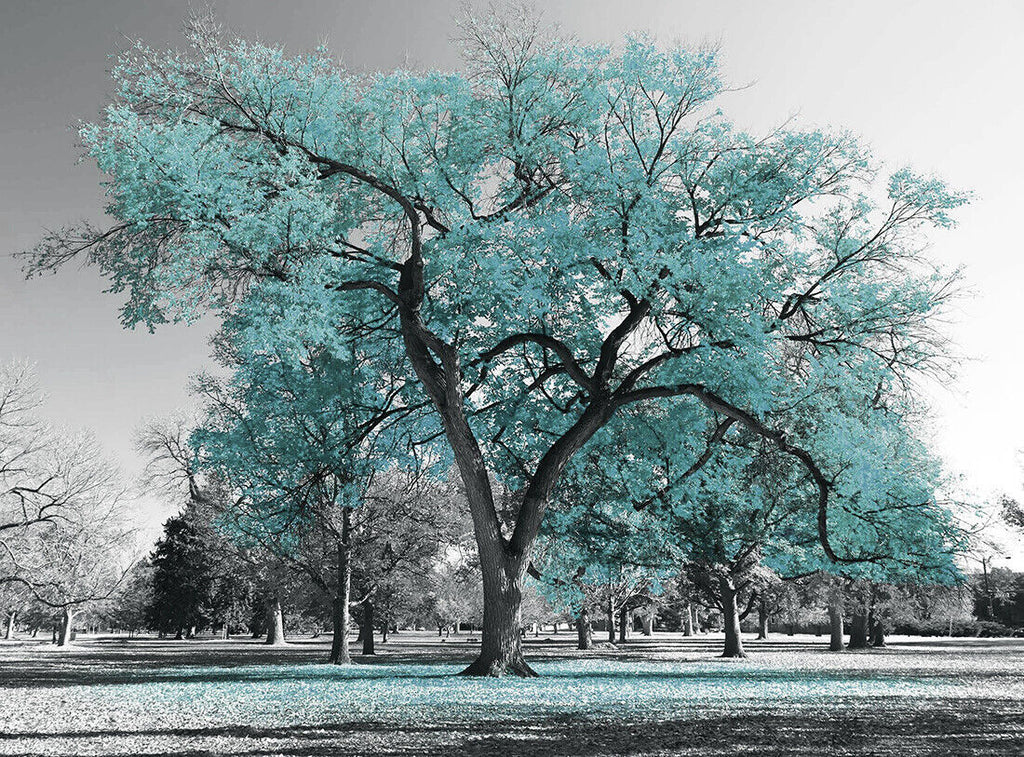 Large Duck Egg Blue Leaves Black White Tree Nature Canvas Wall Art Picture Print