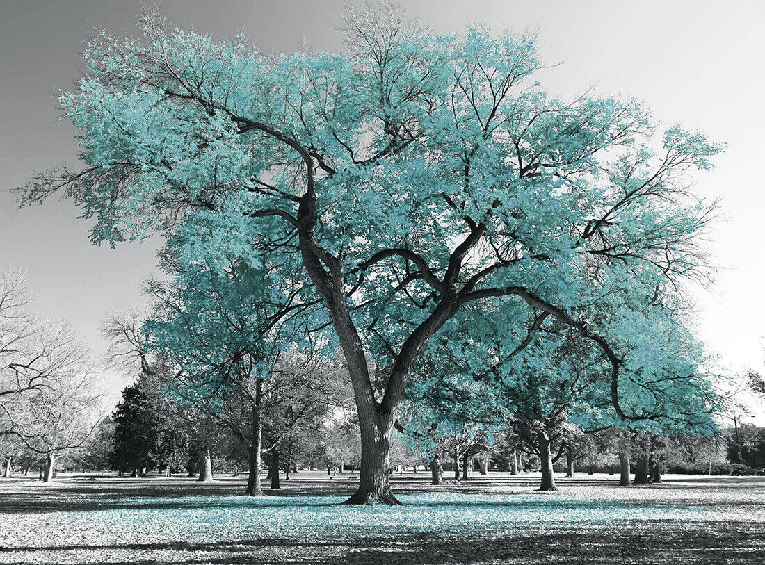 Large Duck Egg Blue Leaves Black White Tree Nature Canvas Wall Art Picture Print