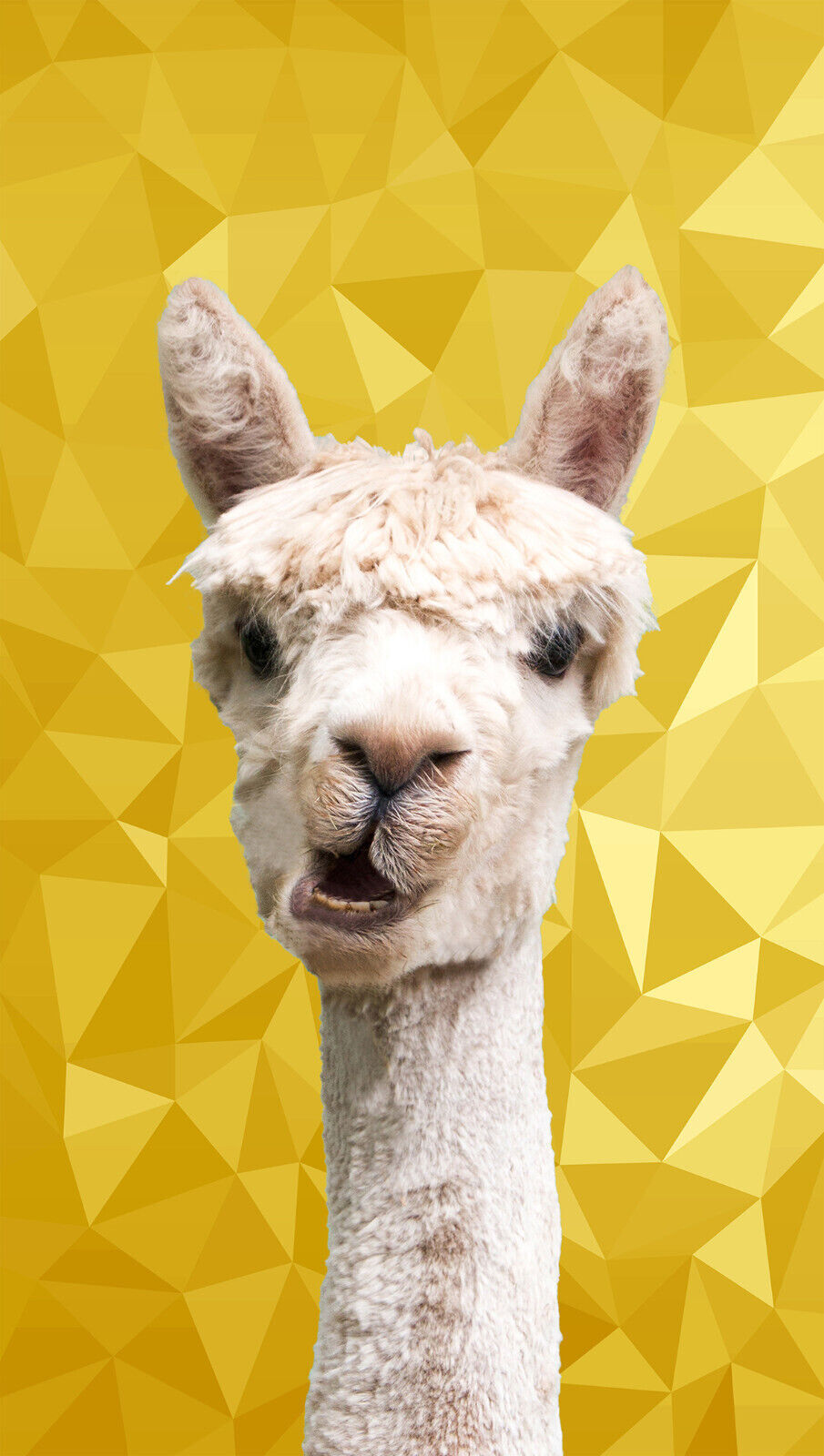 ALPACA ANIMAL YELLOW / MUSTARD GEO CANVAS WALL ART PRINT ARTWORK PICTURE