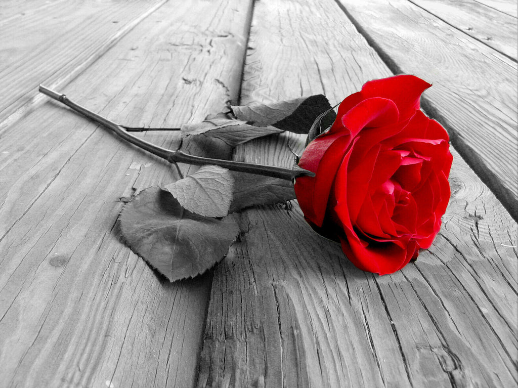 Large Red Grey Rose Flower on Wood Canvas Wall Art Picture Print