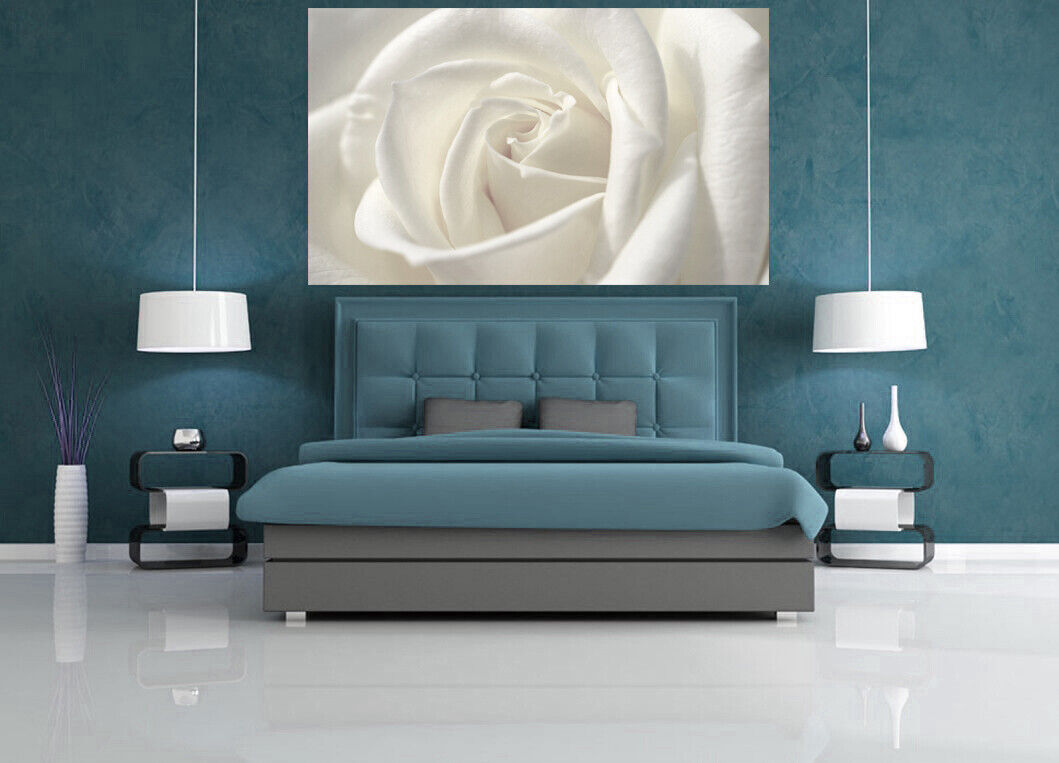 White single rose flower Canvas Wall Art Picture Print - All Sizes