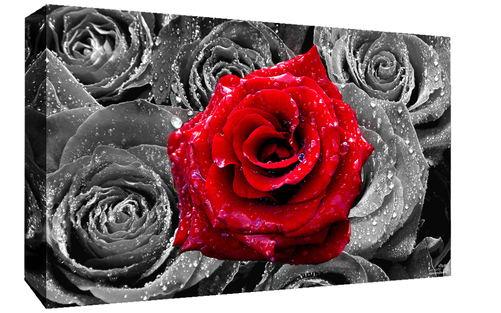 Floral Red Rose on Bed of Roses Abstract  CANVAS WALL ART Picture Print