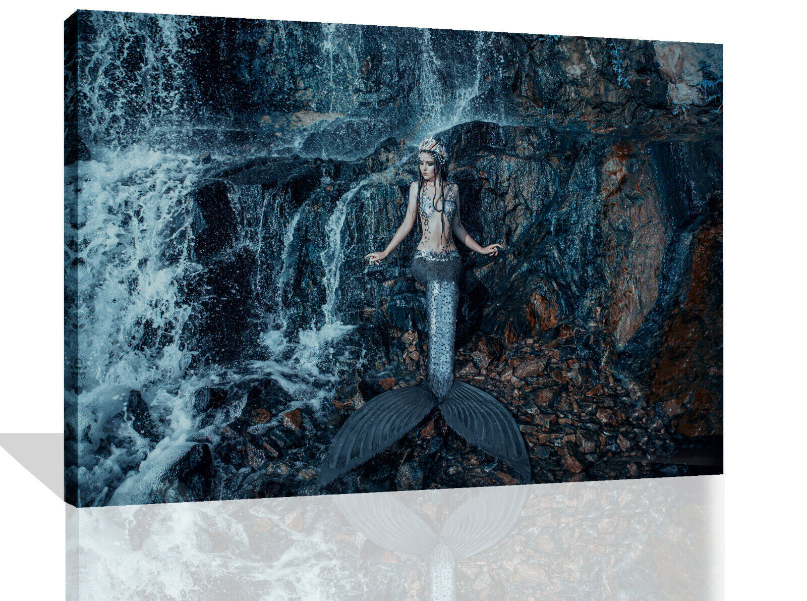 Real Mermaid Fish Ocean Fantasy Canvas Wall Art Picture Print