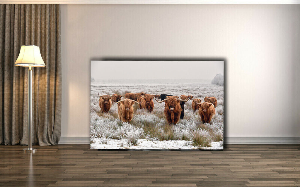 Herd Highland Cows in Winter Canvas Wall Art Picture Print - Brown grey
