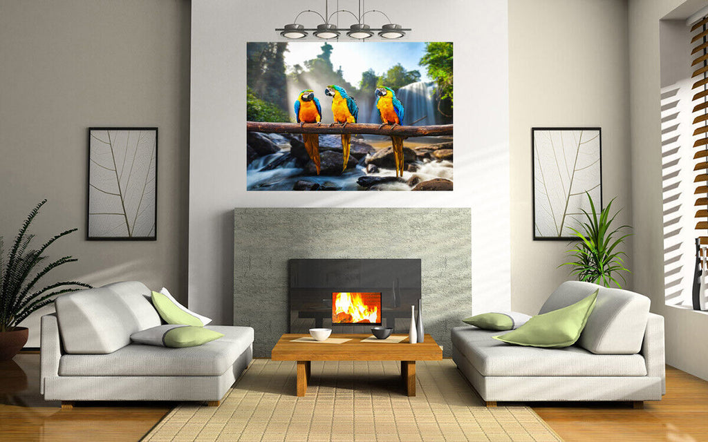 Colourful Parrots Macaws Cotton Canvas Wall Art Picture Print