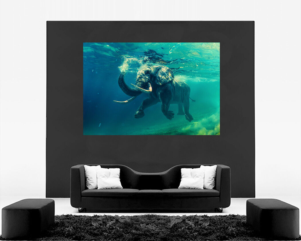 Swimming Elephant Animal in Sea CANVAS WALL ART Picture Print All sizes
