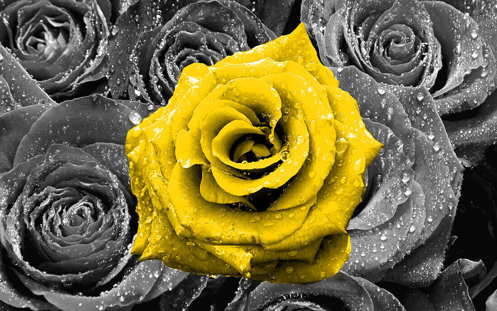 Floral Yellow Rose on Bed of Roses Abstract CANVAS WALL ART Picture Print