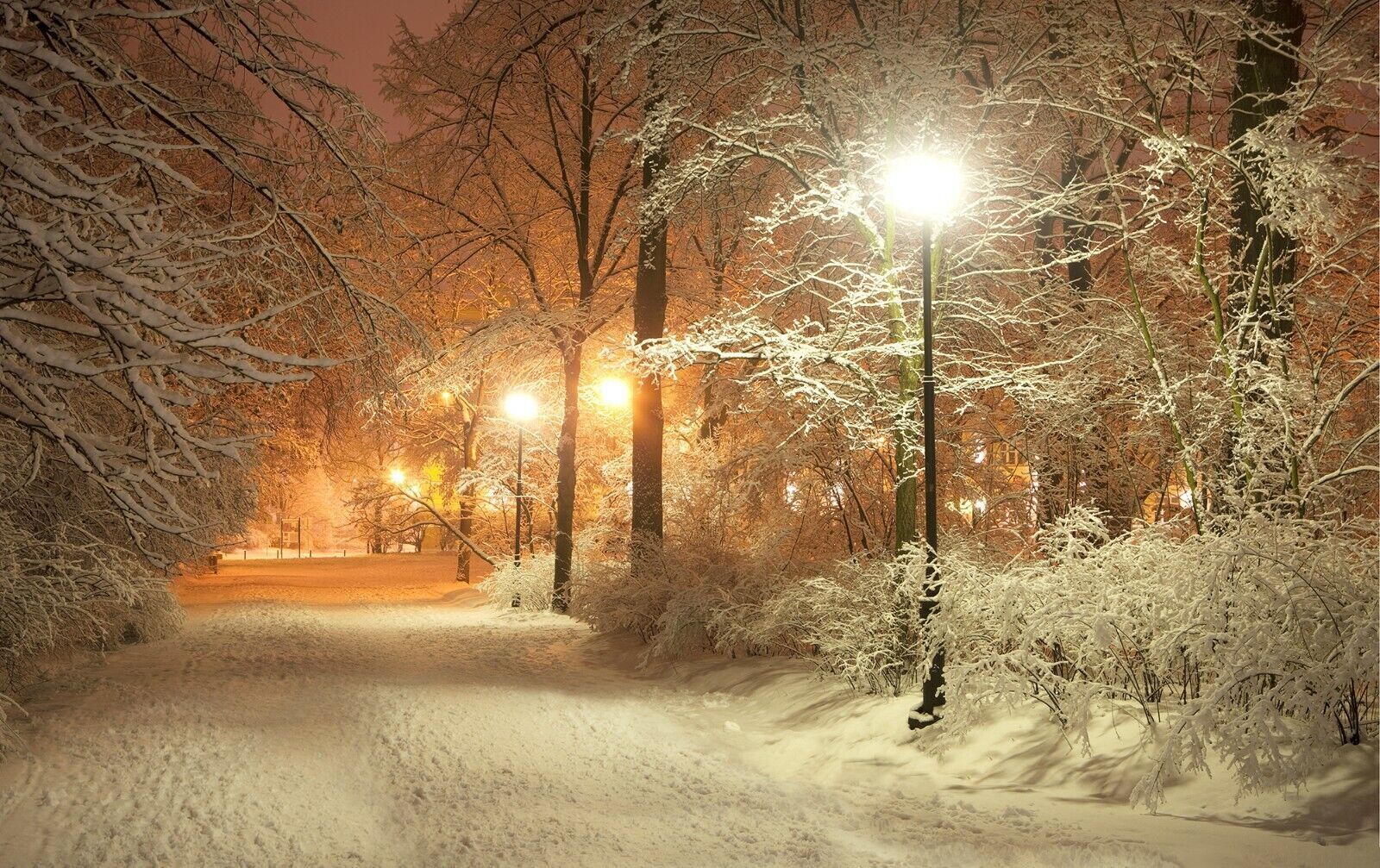 Warm Winters Night Snow Scene Landscape Canvas Wall Art Picture Print
