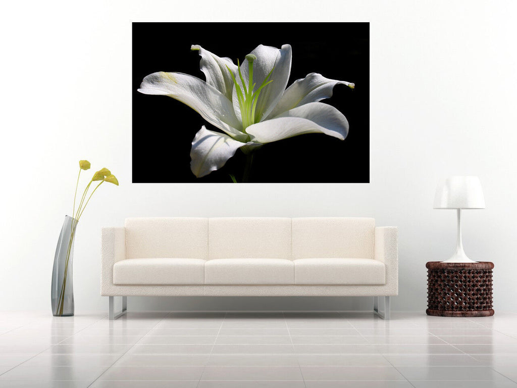 White Lily Flower - Cotton Canvas Wall Art Picture Print - ALL SIZES