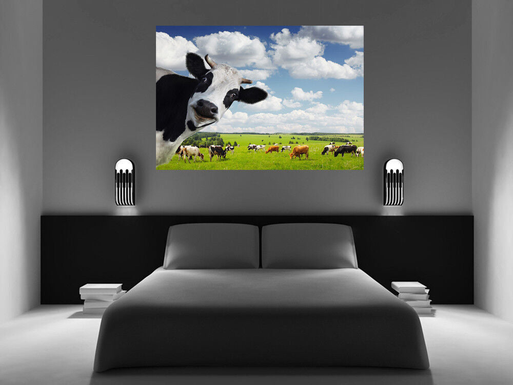 Funny Rural Cow Box Canvas wall art print picture - All sizes available