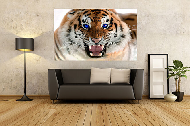 Roaring Tiger with Blue Eyes - Cotton Canvas Wall Art Picture Print- ALL SIZES