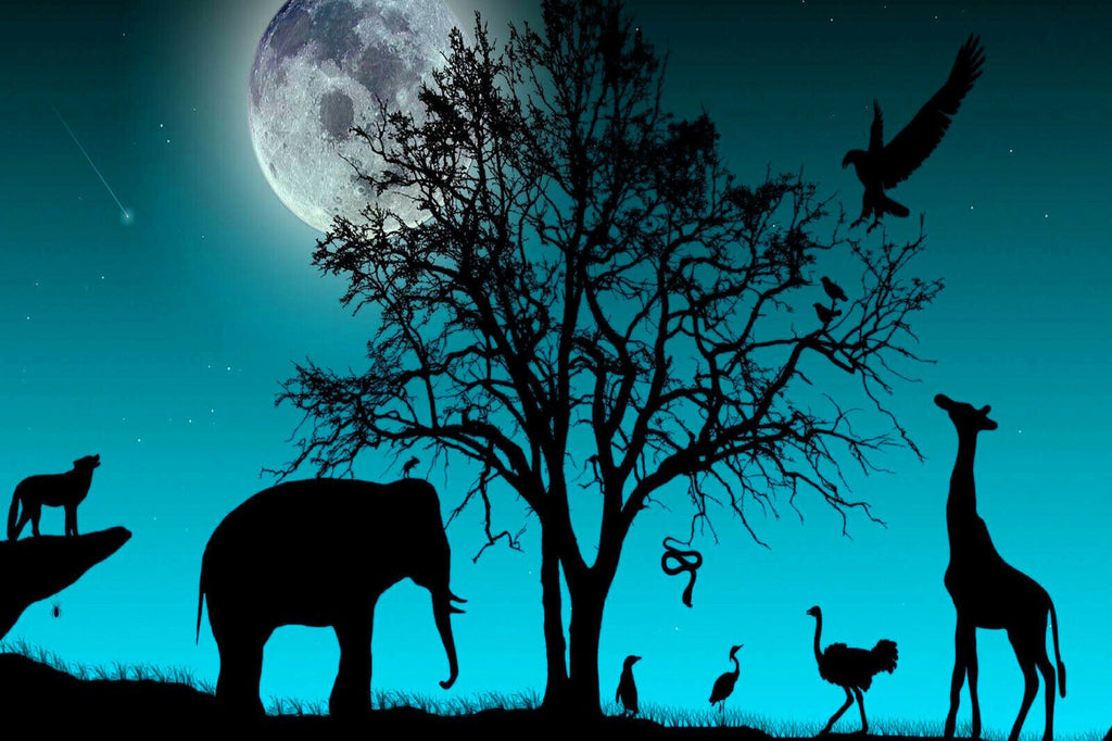 Duck Egg Blue Animals Silhouette Canvas Wall Art Picture Print- All sizes