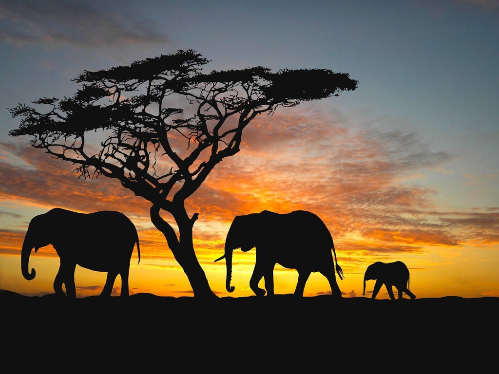 Elephants In The Sunset Africa Landscape  Canvas Wall Art Picture Print