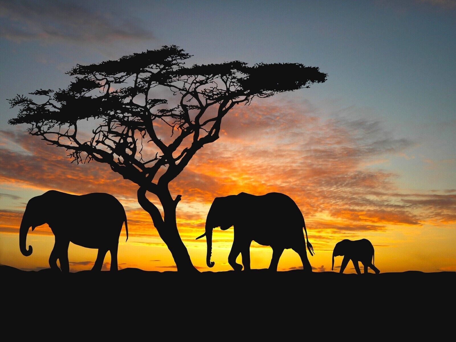 Elephants In The Sunset Africa Landscape  Canvas Wall Art Picture Print