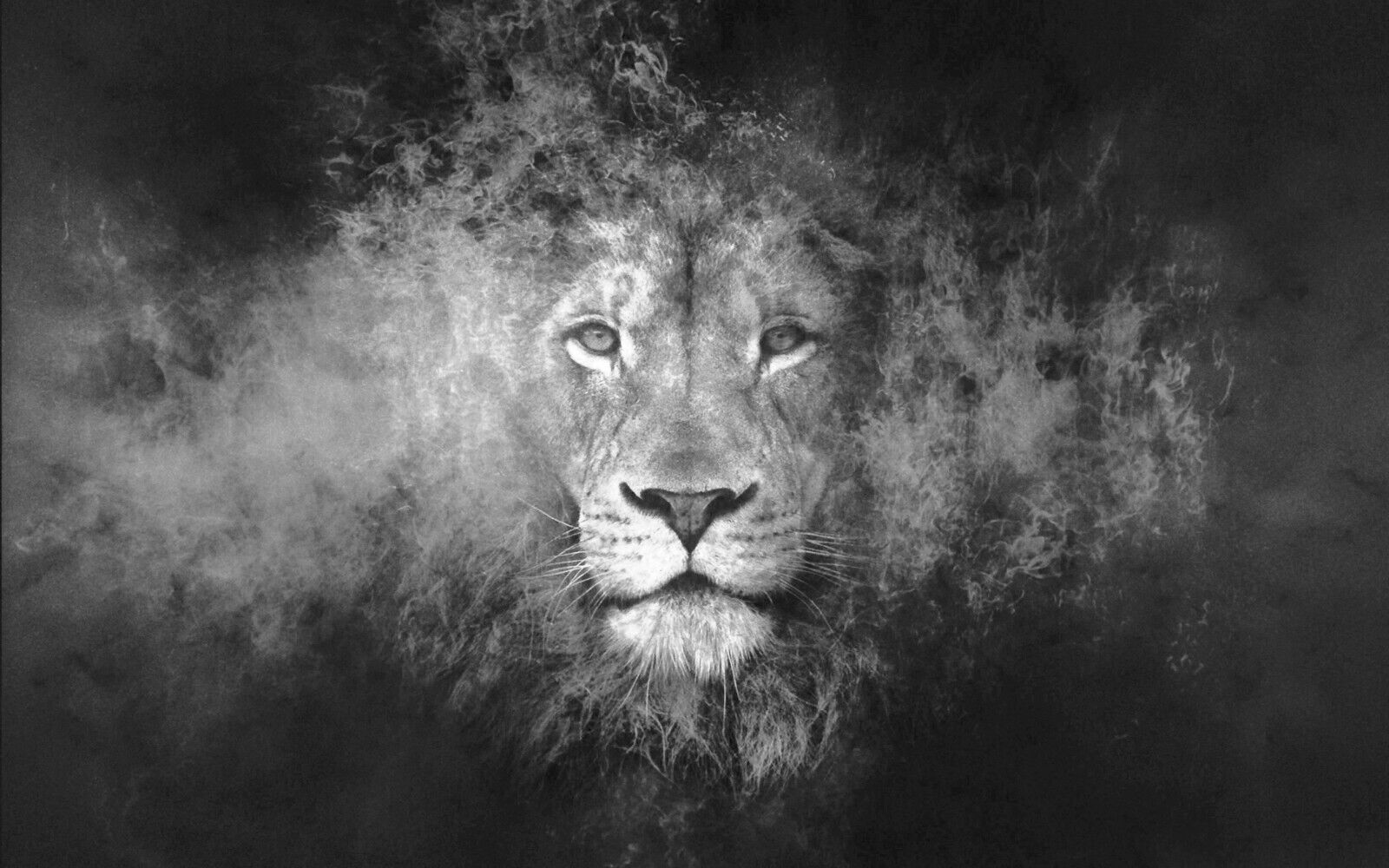 Black & White Abstract Lion CANVAS WALL ART Picture Print, A1, A2 Various sizes
