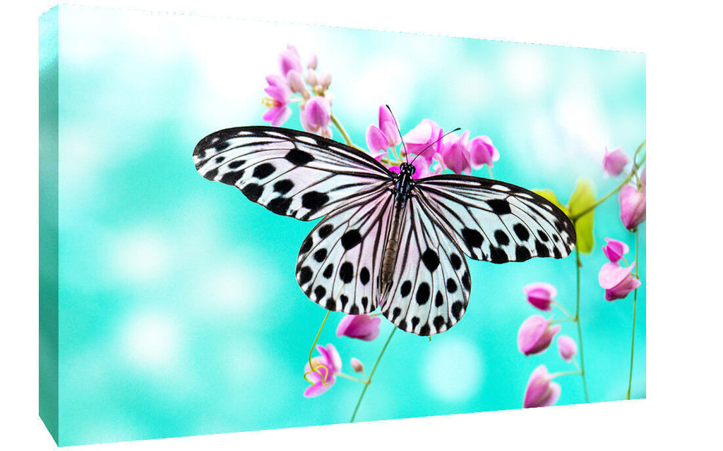 Pink Flowers Floral and Butterfly Canvas Wall Art Picture Ready to Hang