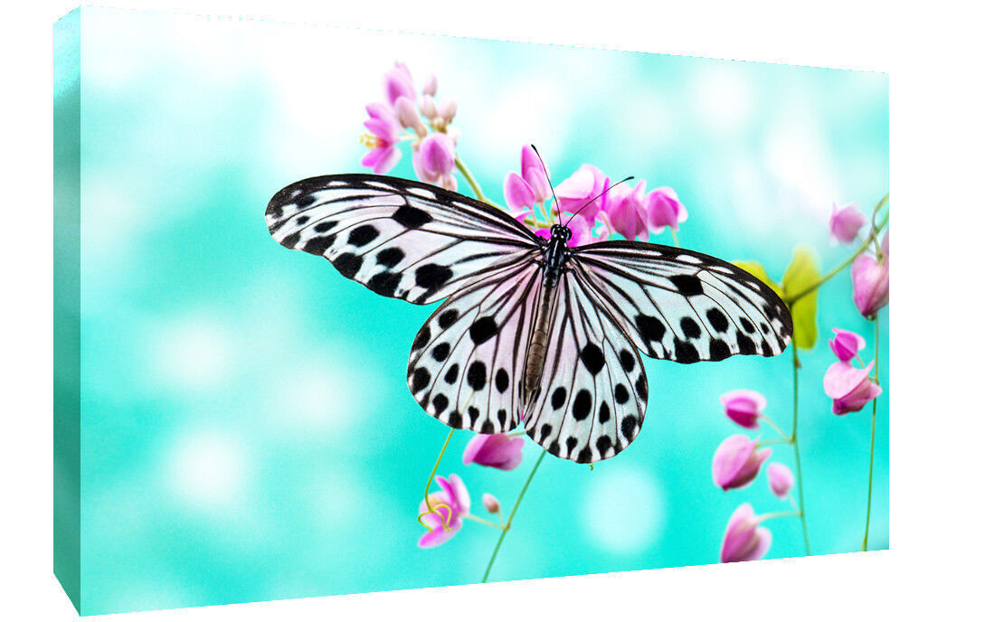 Pink Flowers Floral and Butterfly Canvas Wall Art Picture Ready to Hang