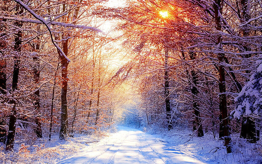 Snow Winter Landscape Scene  Canvas Wall Art Picture  - All sizes & colours