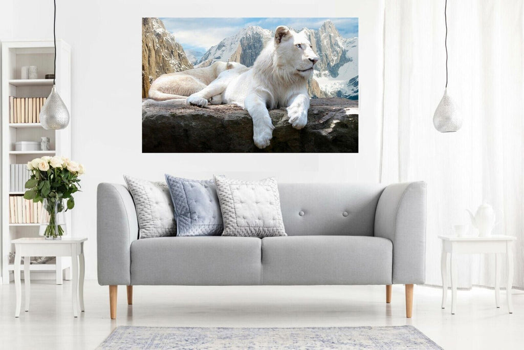 White Mountain Lion Animal Canvas Wall Art Picture Print