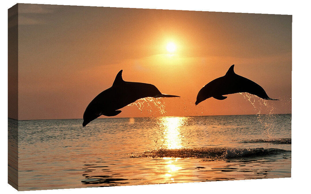 LARGE DOLPHINS AT SEA SUNSET CANVAS PICTURE WALL ART PRINT  34" X 20"