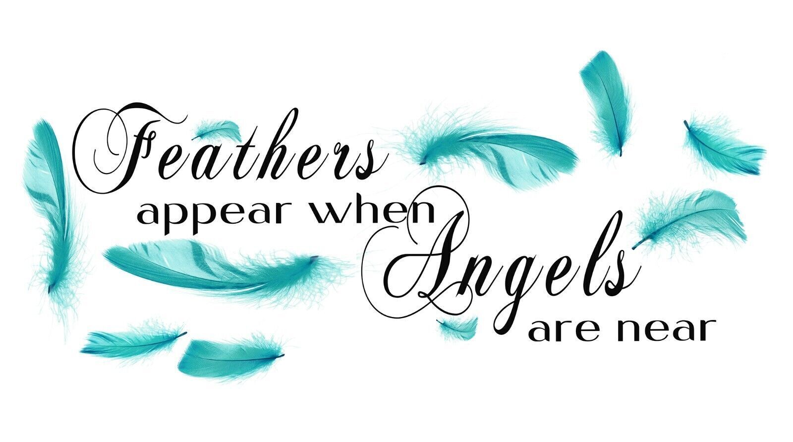 Duck Egg Blue Feathers appear when angels quote Canvas Wall Art Picture Print