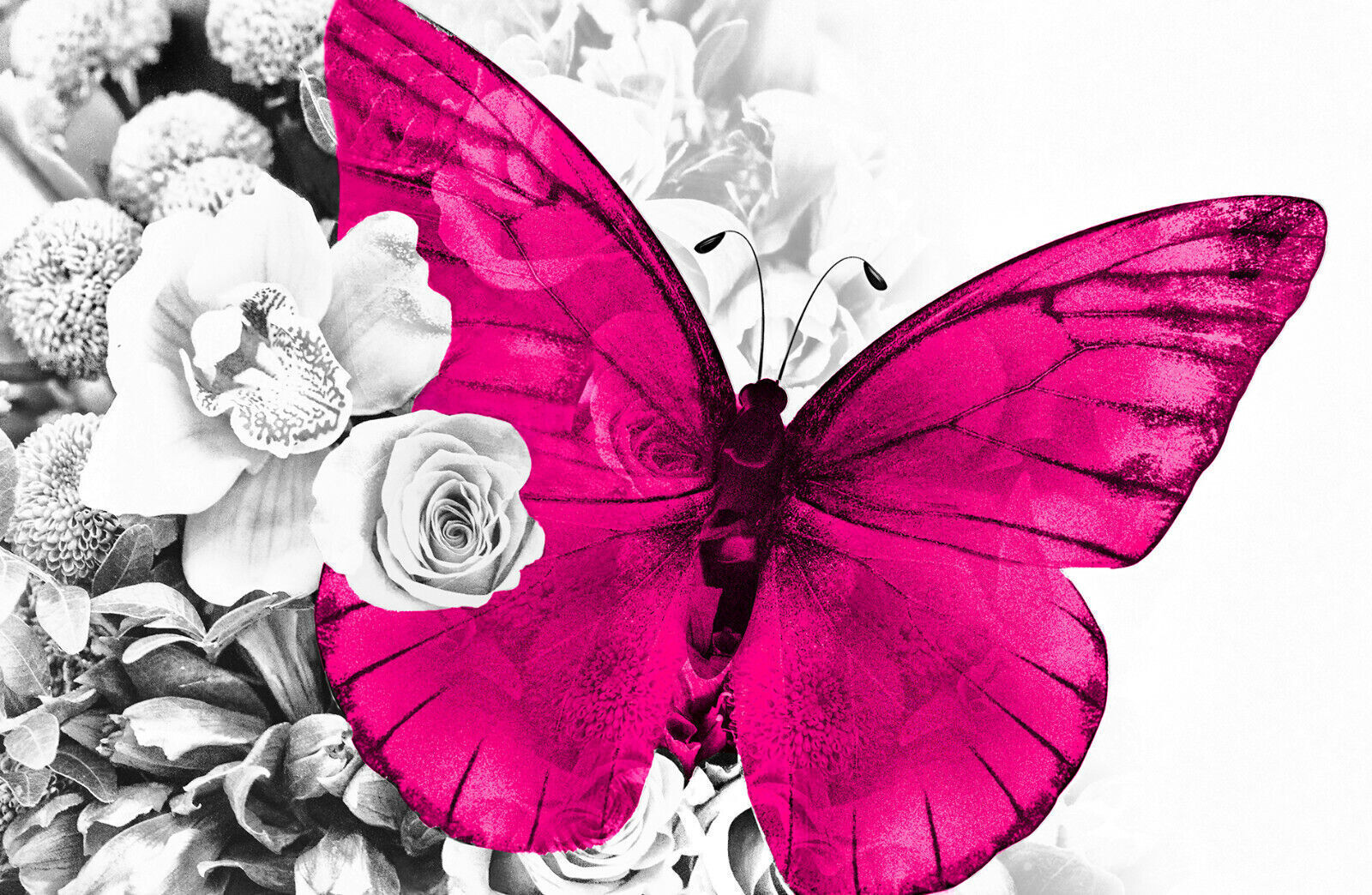 Pink butterfly on grey floral abstract background Canvas Wall Art Print