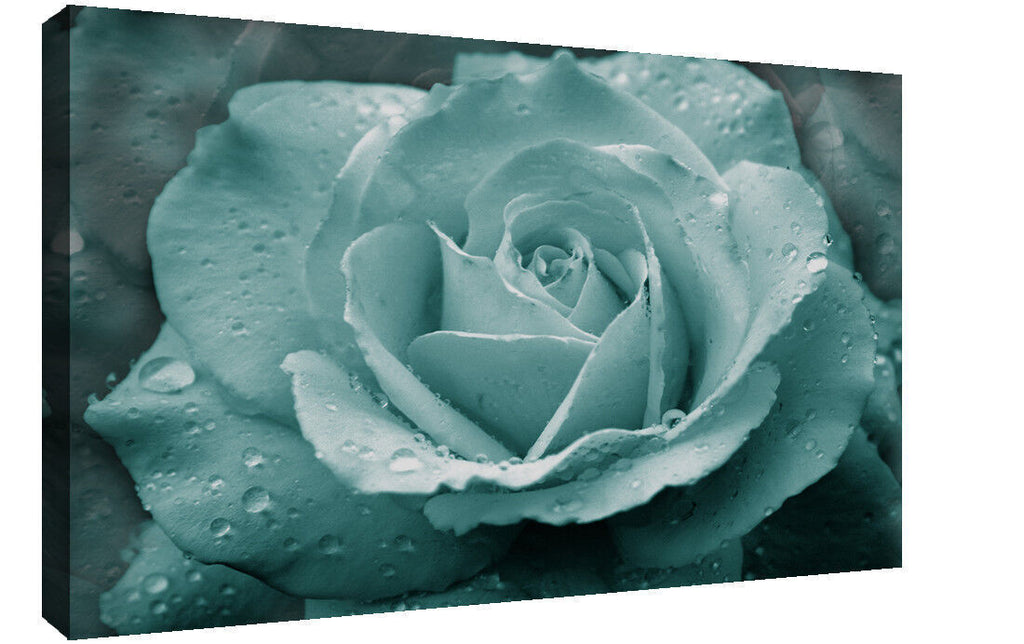 Duck Egg Blue Rose with Raindrops Canvas Wall Art Print A1 A2 A0 A4 - No02