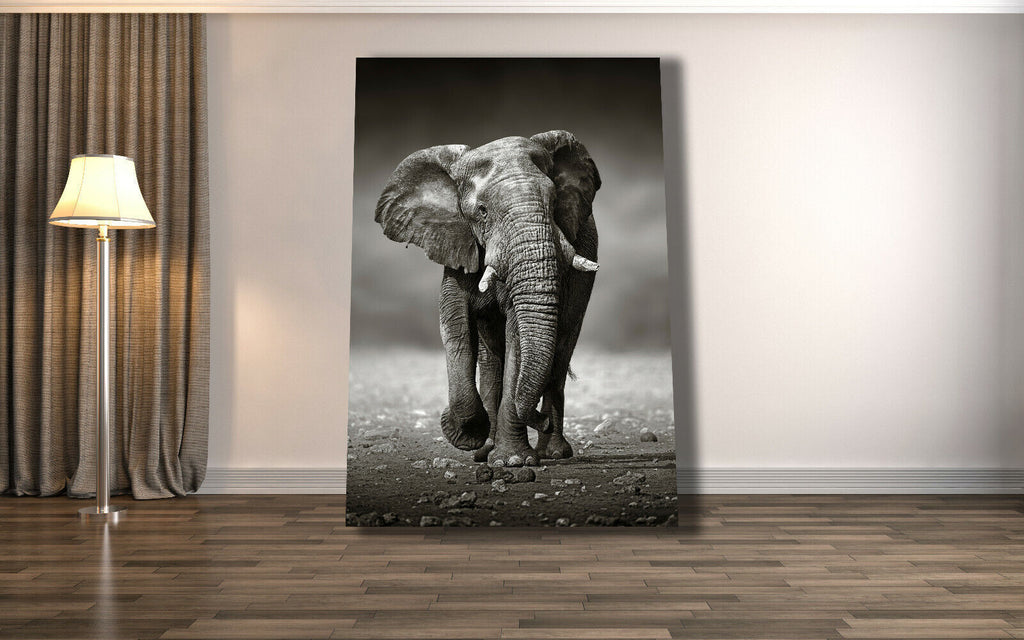 Elephant in Safari Black And White Canvas Wall Art Picture Print
