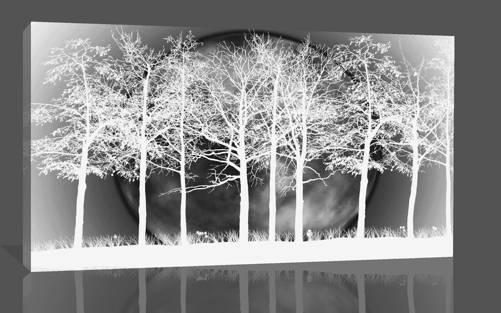 White Grey Modern Landscape Cotton Canvas Wall Art Picture Print - All sizes