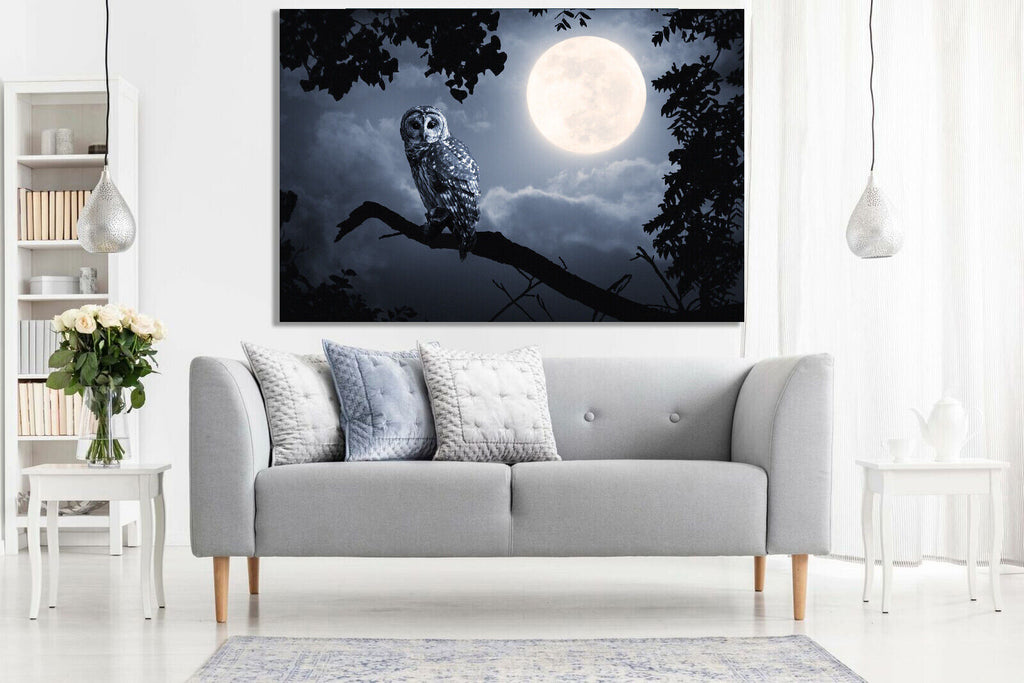 OWL ILLUMINATED BY FULL MOON  Canvas Wall Art Picture Print