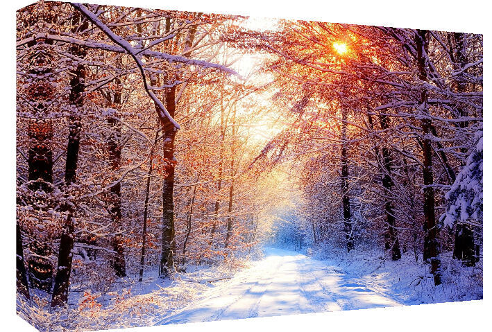 Snow Winter Landscape Scene  Canvas Wall Art Picture  - All sizes & colours
