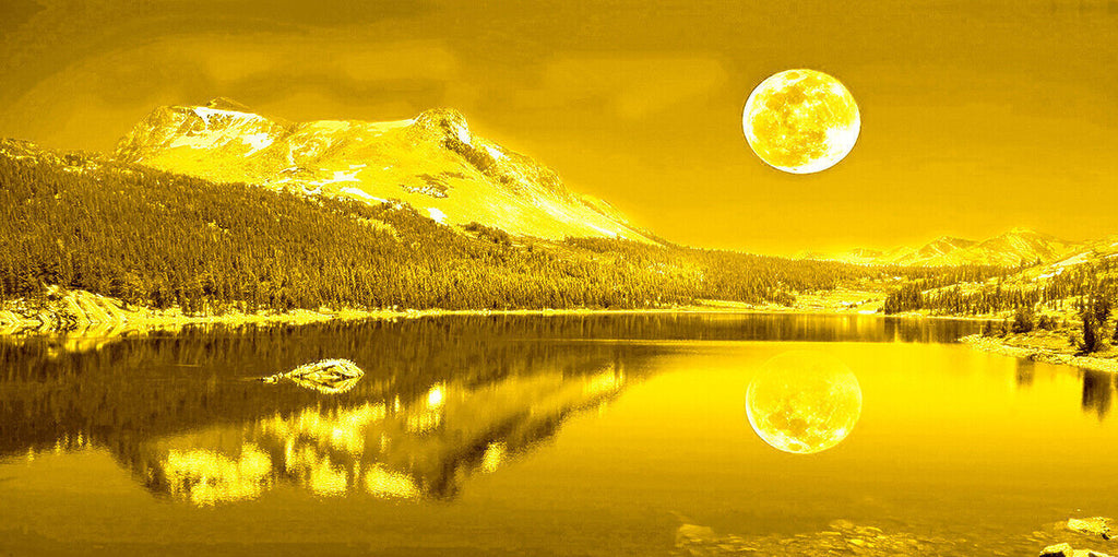 Yellow Mustard Moonlit Lake Cotton Canvas Wall Art Picture Print - A1, A2 sizes