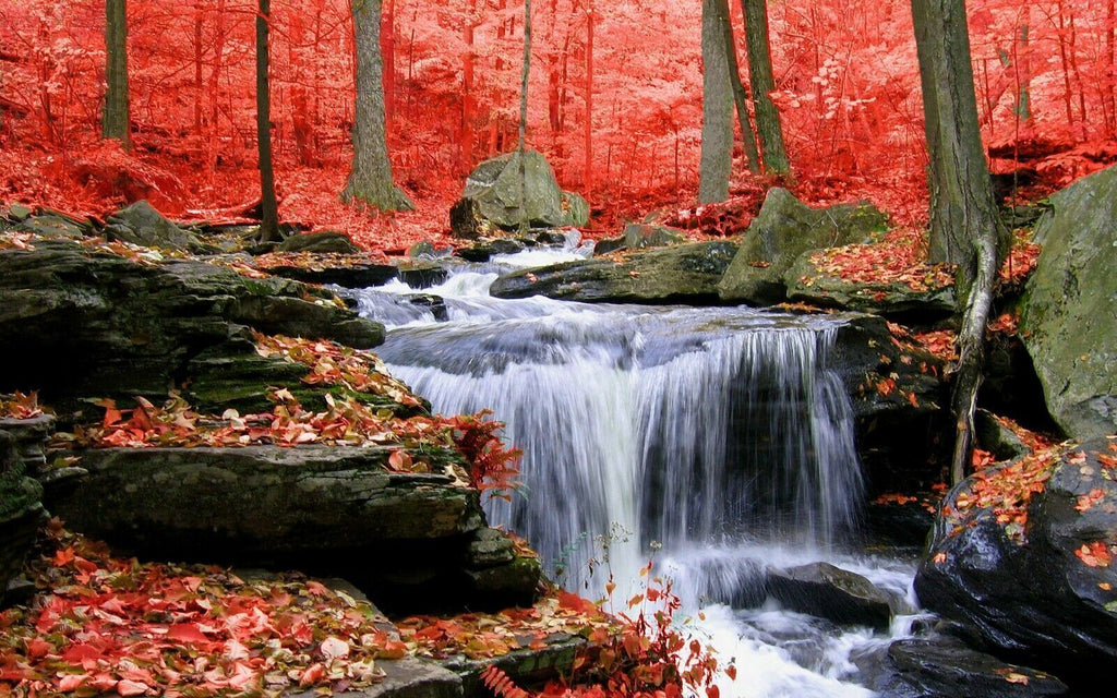 Red Toned Waterfall in Forest Canvas Wall Art Picture Print  - All sizes