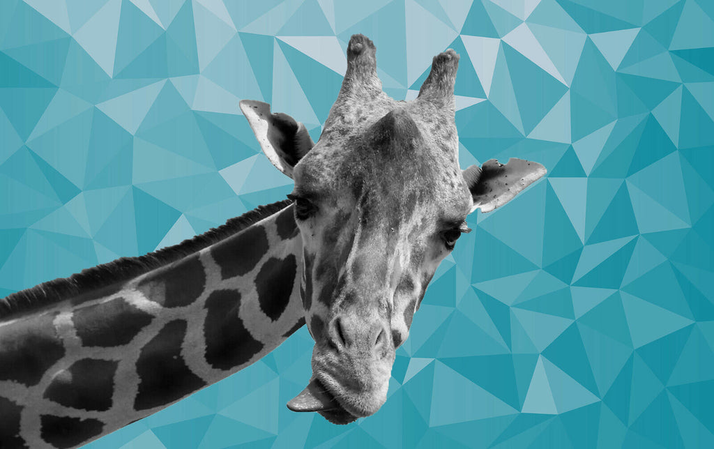 Giraffe BLACK, WHITE DUCK EGG BLUE GEO CANVAS WALL ART PRINT ARTWORK