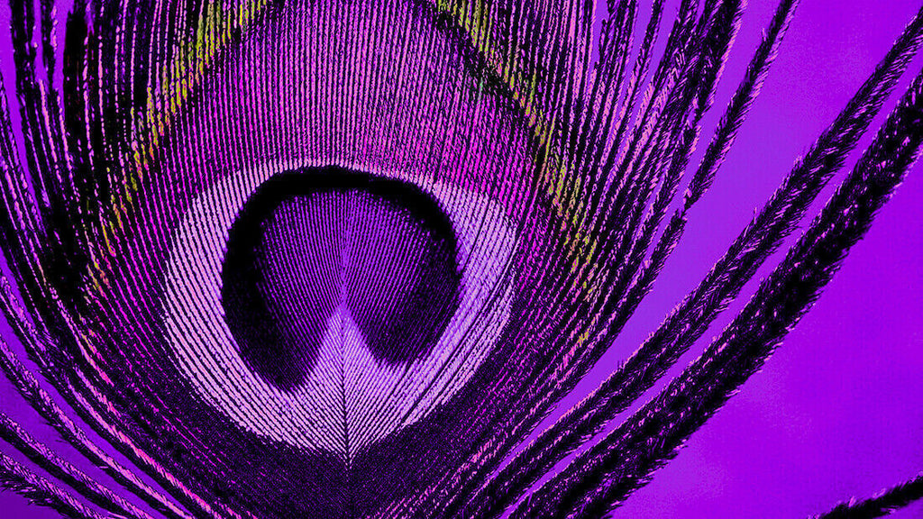 Abstract Peacock PURPLE CANVAS WALL ART Picture Print - All sizes