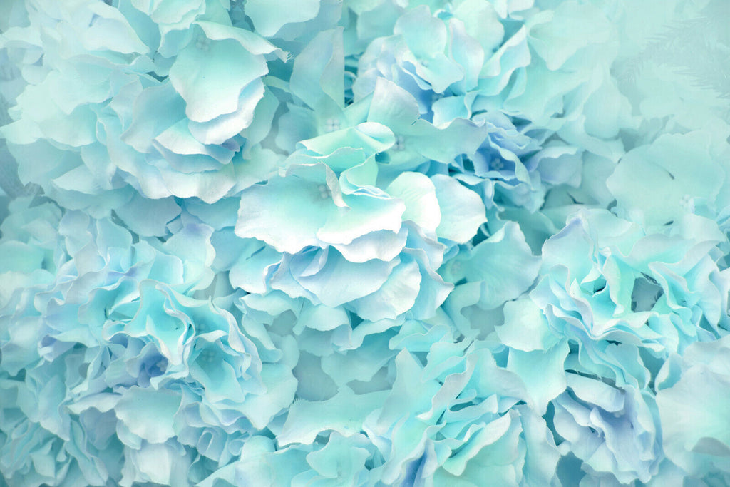 Pastel Duck Egg Blue Flowers Floral Canvas Wall Art Print Picture