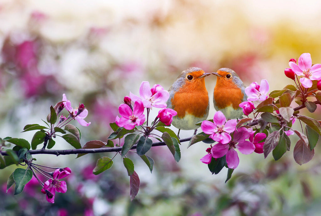 Pair Robins / Birds on Floral Tree Canvas Wall Art Print Picture